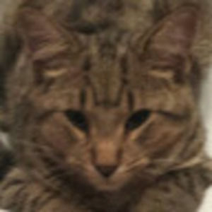 Meet your Posher, Lilly